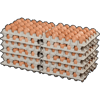 Яйцо куриное Галичское Столовое С-О нефасованное